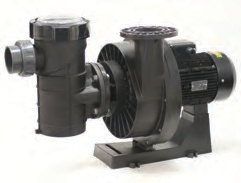 Kivu 5.5 HP 230/400 V 50Hz + önfiltre