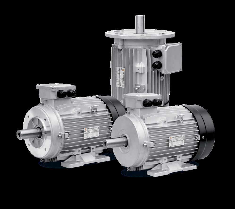 Glong MS561-2 Electric Motor