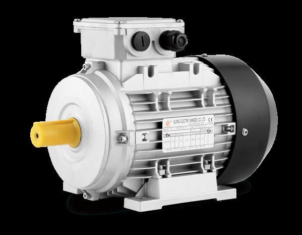 Glong JE4-80C-6 Electric Motor
