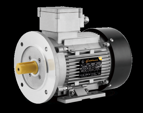 Glong JFBE3-132S-2 Electric Motor