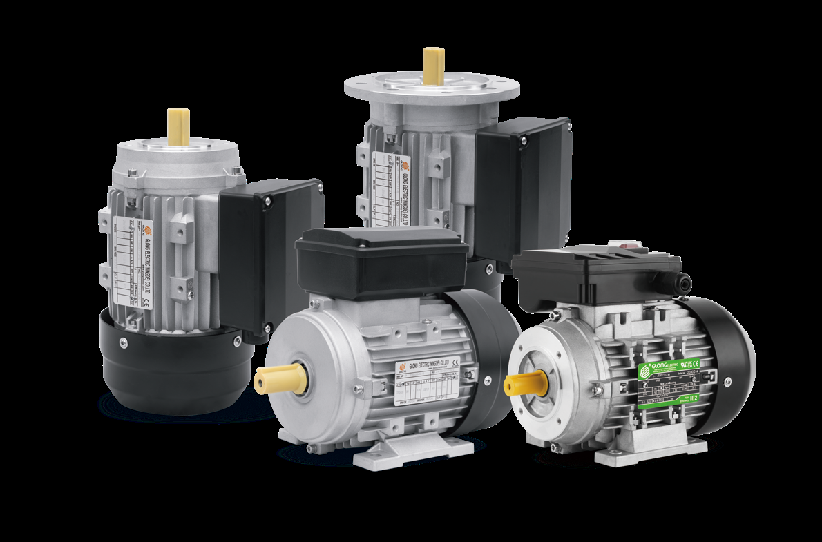 Glong MY631-2 Electric Motor