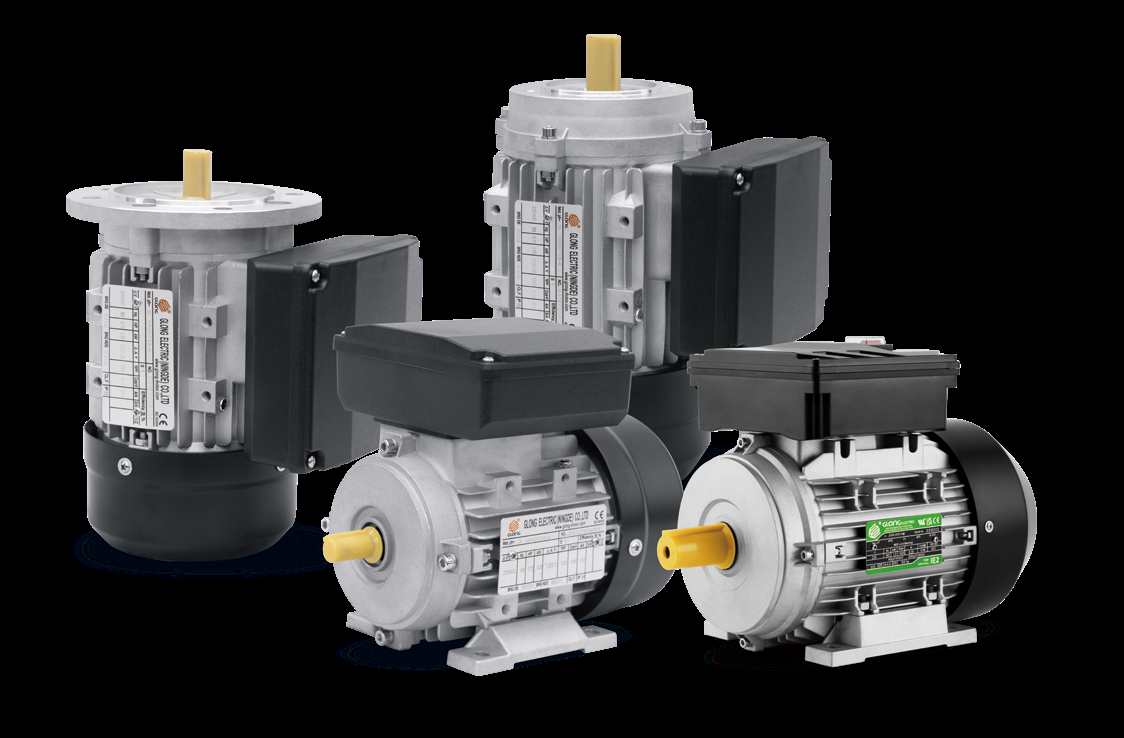 Glong JEMY90L-6 Electric Motor
