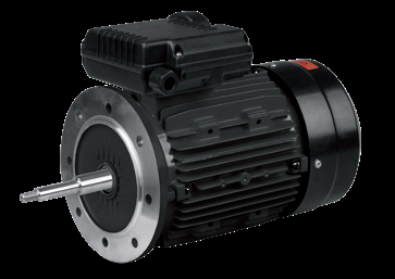 PMS Series Three-Phase Pump Motor PMS63S1-2